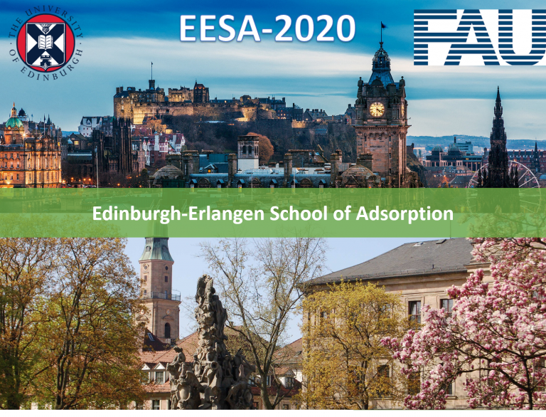Edinburgh-Erlangen School of Adsorption: EESA 2020