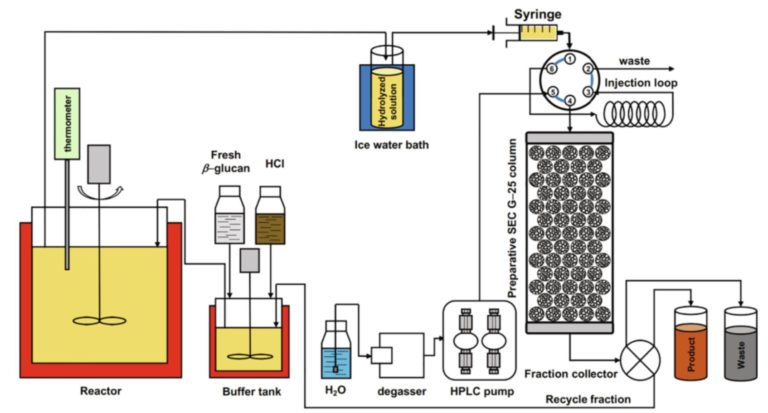 Paper on high-quality oligosaccharides from biopolymers