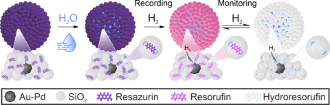 Towards entry "Silica supraparticles for hydrogen detection"