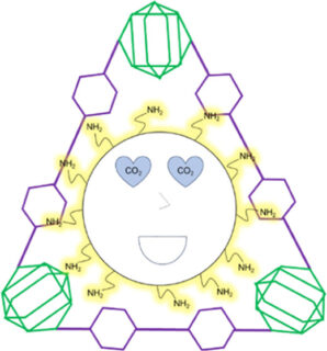 Towards entry "Chemically Reversible CO2 Uptake by Dendrimer-Impregnated Metal-Organic Frameworks"