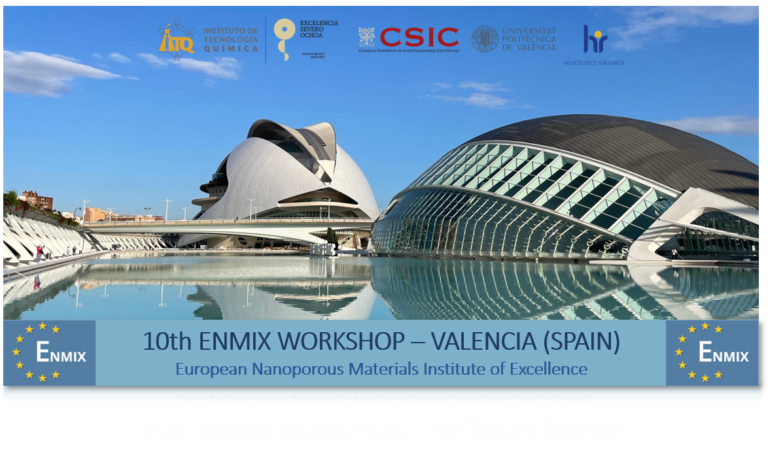 10th ENMIX Workshhop – Valencia (Spain)